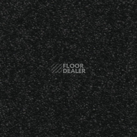 Balsan Dolce Vita Balsan Dolce Vita 995 фото 2 | FLOORDEALER